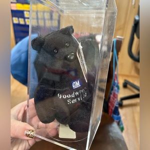 Dale Earnhardt bear in case